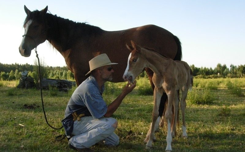 Fidel Sánchez Alayo comenta sobre La importancia de la confianza en los caballos