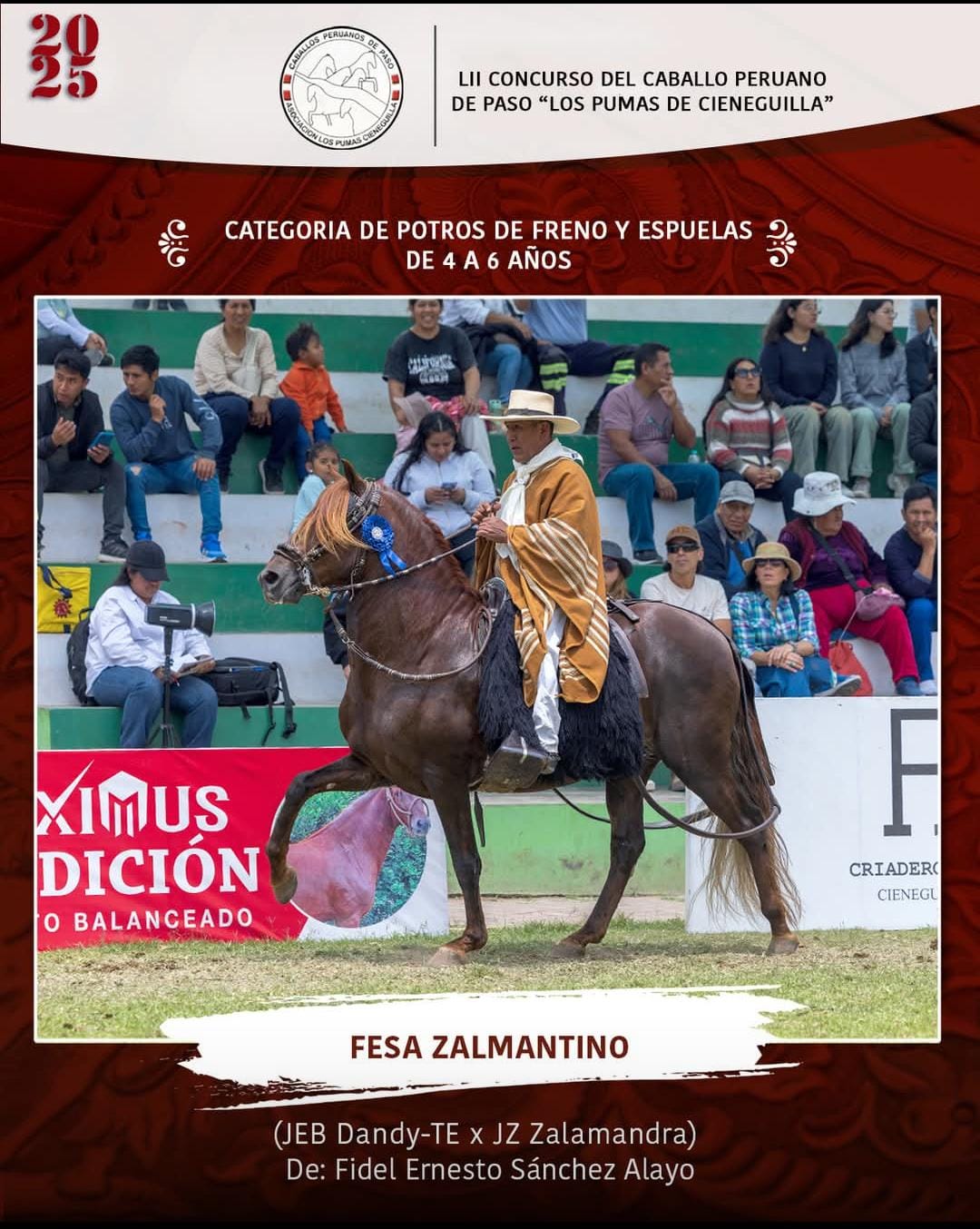 fidel sanchez alayo ganador concurso potros