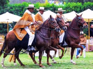 fidel sanchez alayo lii concurso caballo