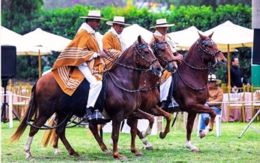 fidel sanchez alayo lii concurso caballo