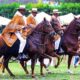 fidel sanchez alayo lii concurso caballo