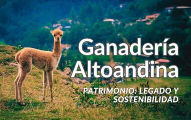 patrimonio fidel sanchez alayo ganaderia andina