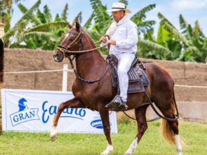 XXII Concurso Sur Peruano del Caballo Peruano de Paso Chincha 2026 fidel sanchez alayo